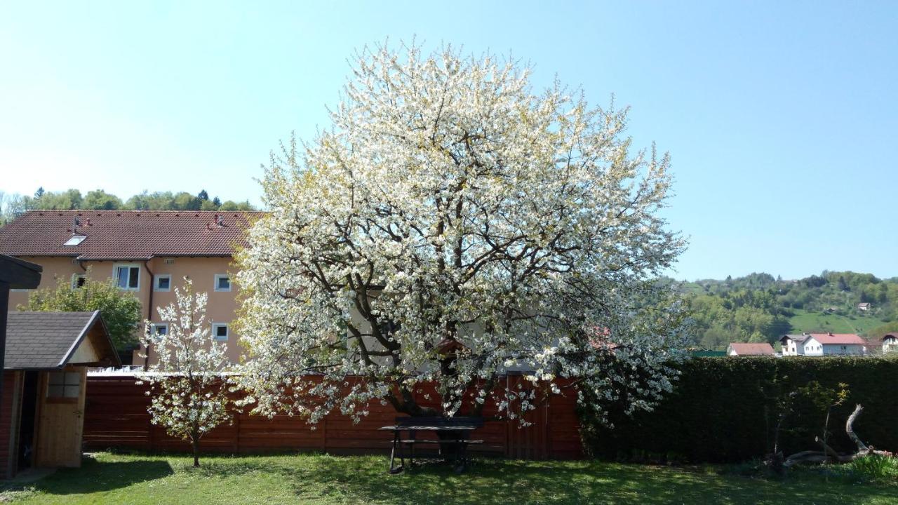 Apartma Golob Zgornja Kungota ภายนอก รูปภาพ